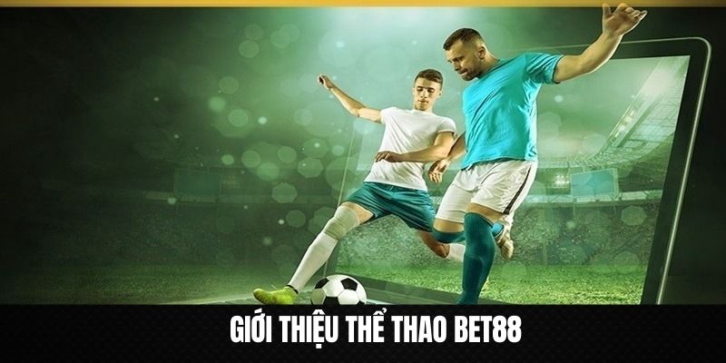 Những nét giới thiệu về sảnh thể thao Bet88 